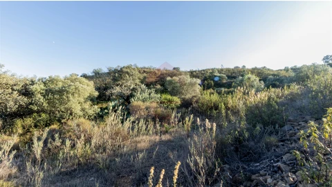 Terreno Agricola ou Rústico para Venda em Azinhal