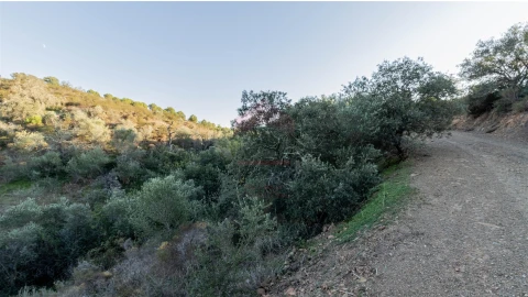 Terreno Agricola ou Rústico para Venda em Azinhal