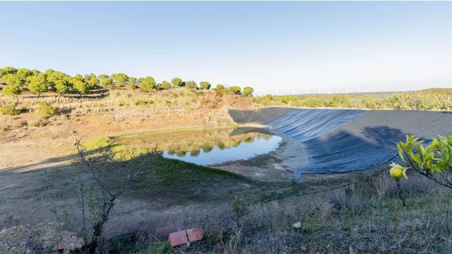 Terreno Agricola ou Rústico para Venda em Azinhal Foto 8