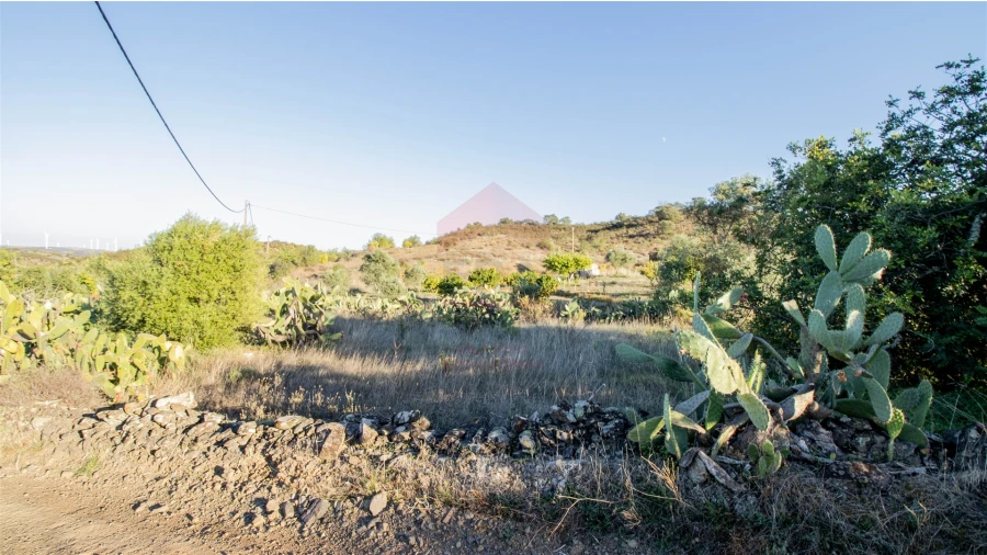 Terreno Agricola ou Rústico para Venda em Azinhal Foto 4