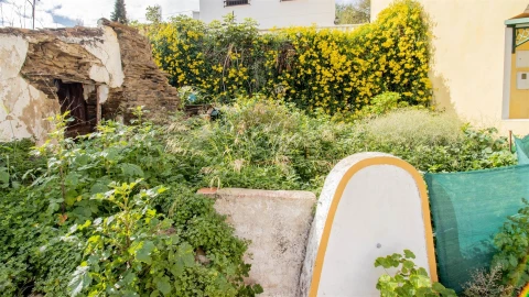 Terreno para Venda em Alcoutim e Pereiro