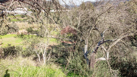 Terreno para Venda em Alcoutim e Pereiro