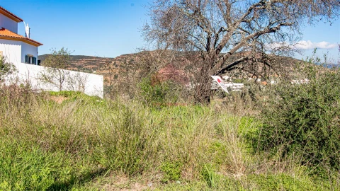 Terreno para Venda em Alcoutim e Pereiro