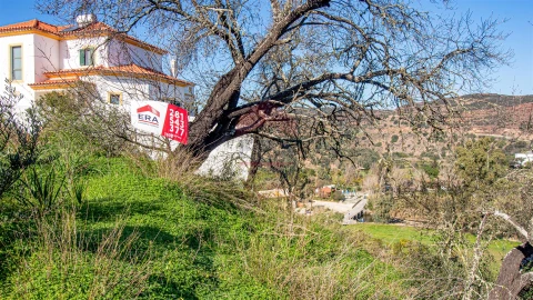 Terreno para Venda em Alcoutim e Pereiro