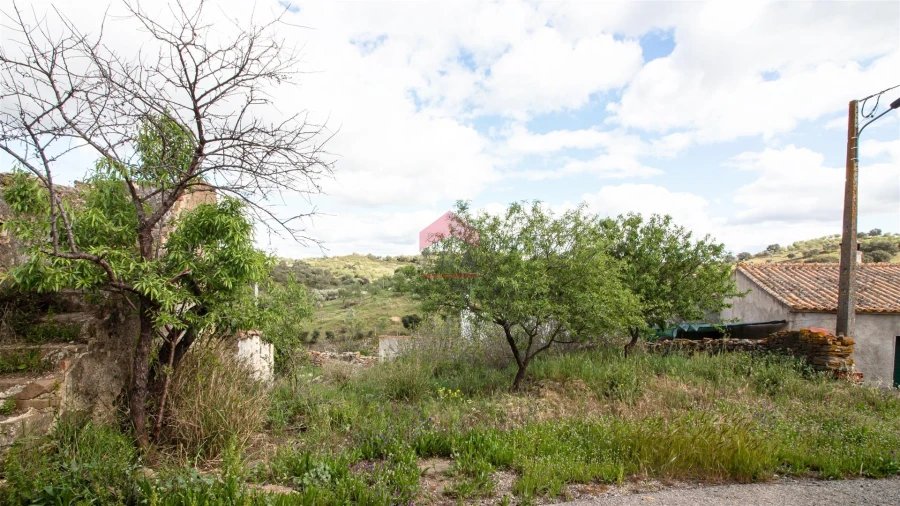 Moradia T0 para Venda em Martim Longo Foto 7