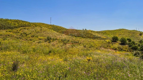 Terreno Agricola ou Rústico para Venda em Castro Marim