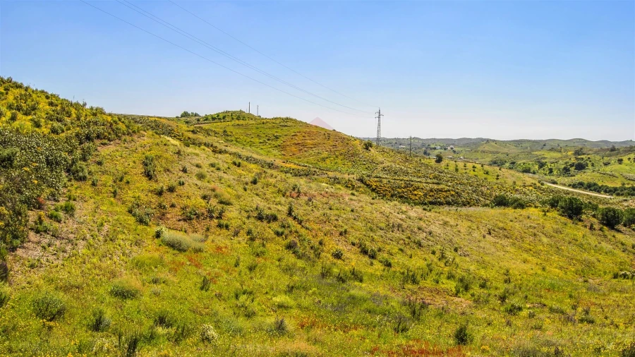 Terreno Agricola ou Rústico para Venda em Castro Marim Foto 4