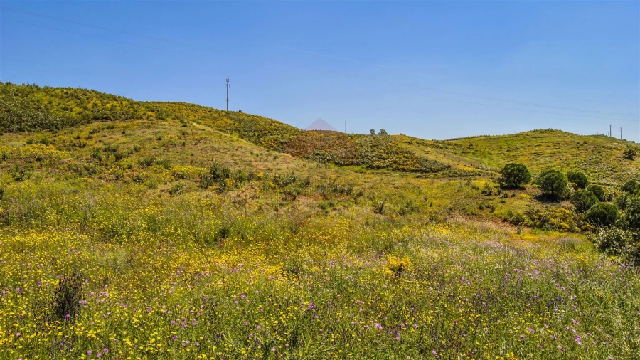 Terreno Agricola ou Rústico para Venda em Castro Marim Foto 5