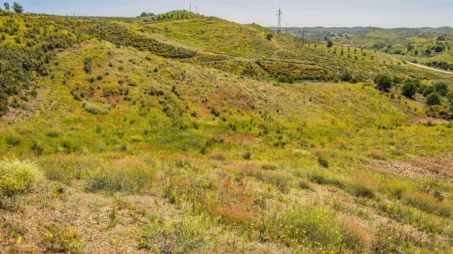 Terreno Agricola ou Rústico para Venda em Castro Marim Foto 6