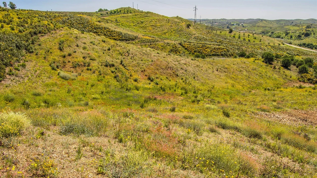 Terreno Agricola ou Rústico para Venda em Castro Marim Foto 6