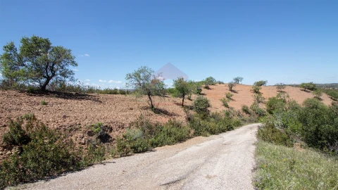 Terreno Agricola ou Rústico para Venda em Castro Marim