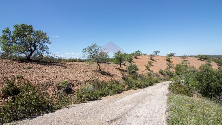 Terreno Agricola ou Rústico para Venda em Castro Marim Foto 7