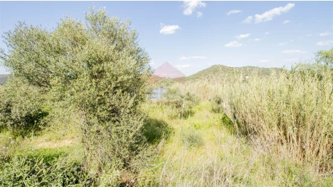 Terreno para Venda em Alcoutim e Pereiro