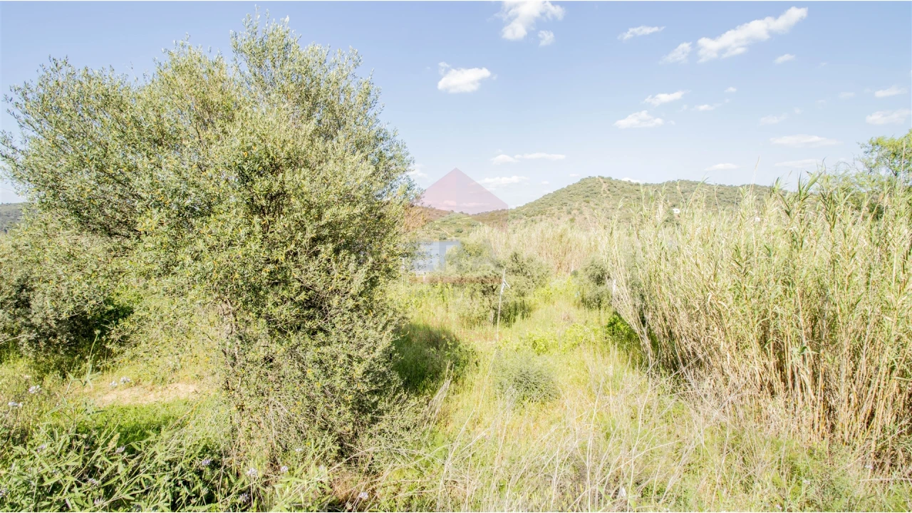 Terreno para Venda em Alcoutim e Pereiro Foto 1