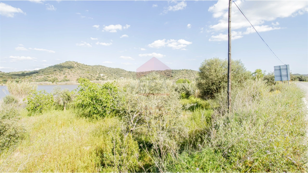 Terreno para Venda em Alcoutim e Pereiro Foto 2