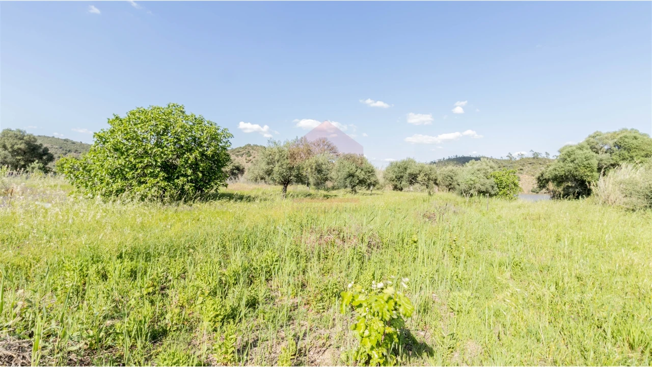 Terreno Agricola ou Rústico para Venda em Alcoutim e Pereiro Foto 2