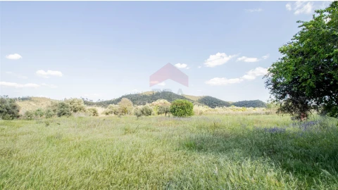 Terreno Agricola ou Rústico para Venda em Alcoutim e Pereiro