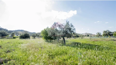 Terreno Agricola ou Rústico para Venda em Alcoutim e Pereiro