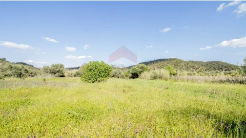 Terreno Agricola ou Rústico para Venda em Alcoutim e Pereiro