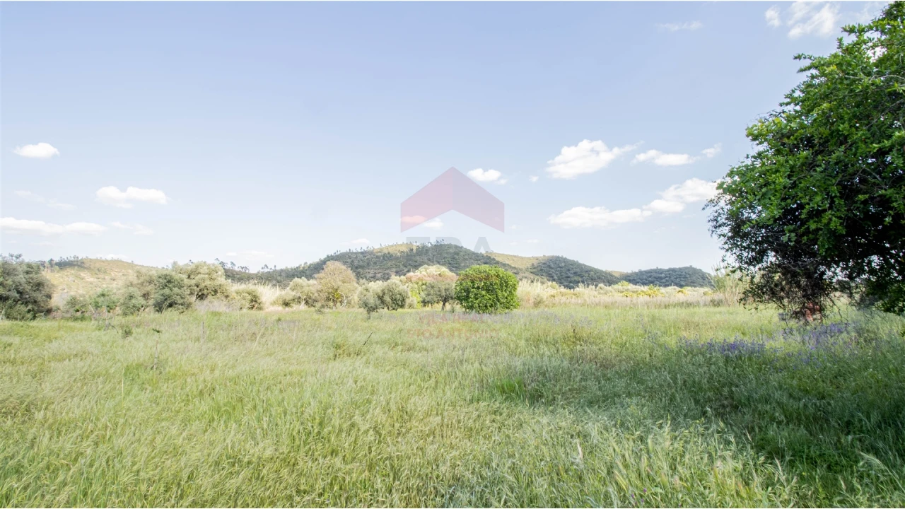 Terreno Agricola ou Rústico para Venda em Alcoutim e Pereiro Foto 3
