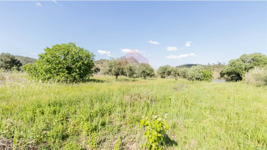 Terreno Agricola ou Rústico para Venda em Alcoutim e Pereiro Foto 2