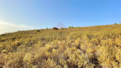 Terreno Agricola ou Rústico para Venda em Alcoutim e Pereiro