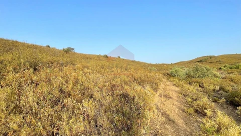 Terreno Agricola ou Rústico para Venda em Alcoutim e Pereiro