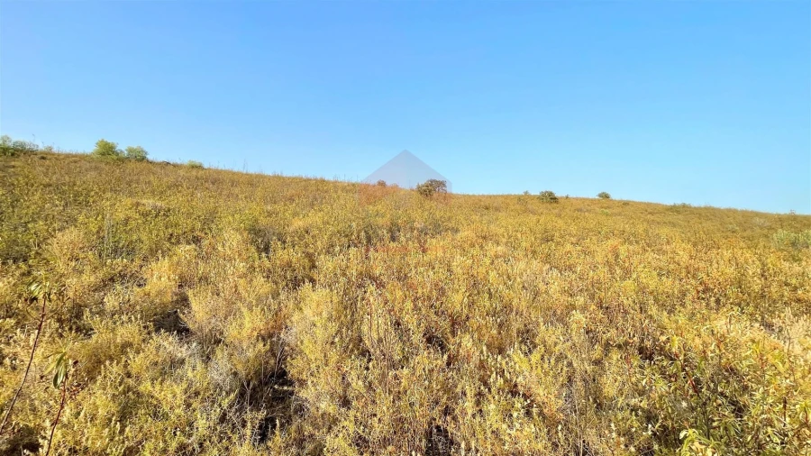 Terreno Agricola ou Rústico para Venda em Alcoutim e Pereiro Foto 5