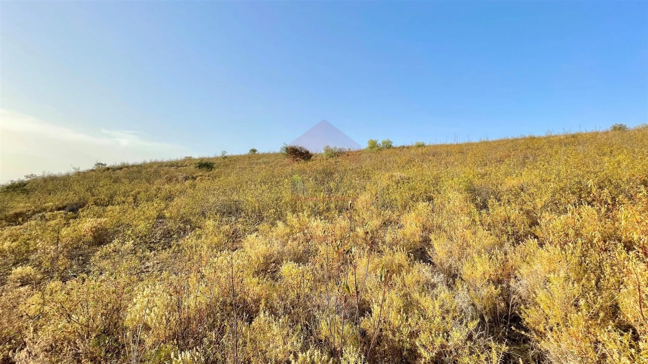 Terreno Agricola ou Rústico para Venda em Alcoutim e Pereiro Foto 2