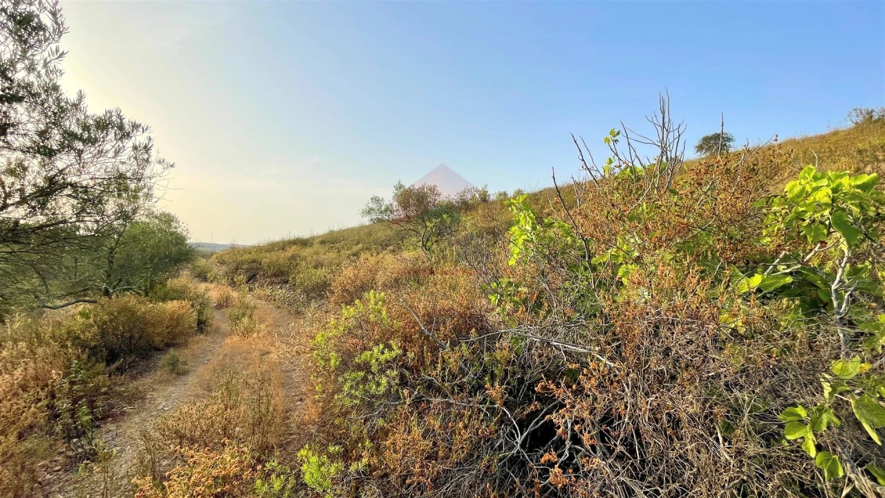 Terreno Agricola ou Rústico para Venda em Alcoutim e Pereiro Foto 3