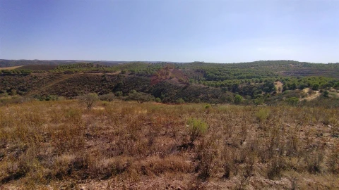 Terreno Agricola ou Rústico para Venda em Alcoutim e Pereiro