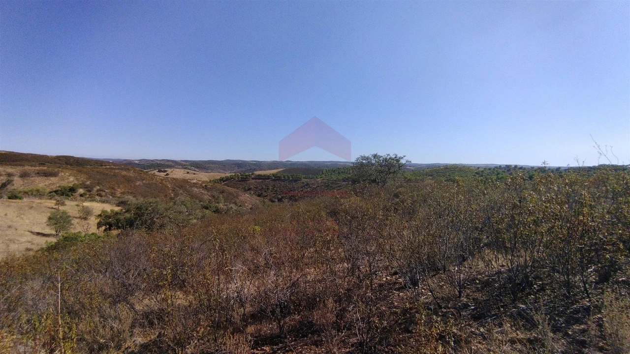 Terreno Agricola ou Rústico para Venda em Alcoutim e Pereiro Foto 3