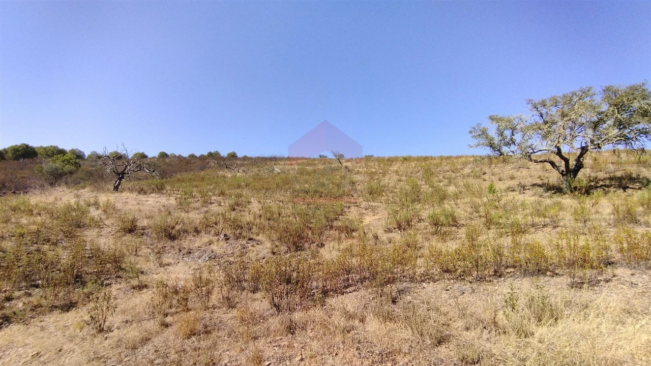Terreno Agricola ou Rústico para Venda em Alcoutim e Pereiro Foto 2