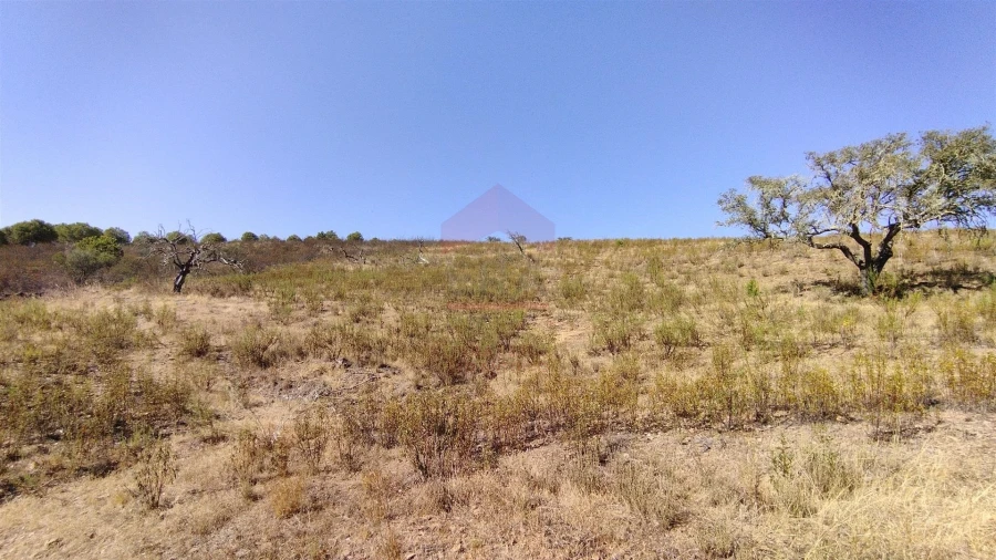 Terreno Agricola ou Rústico para Venda em Alcoutim e Pereiro Foto 2