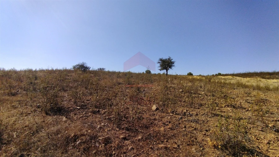 Terreno Agricola ou Rústico para Venda em Alcoutim e Pereiro Foto 5