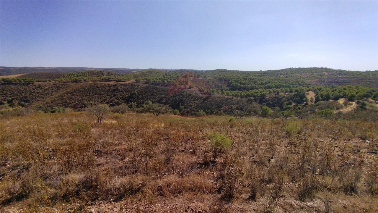 Terreno Agricola ou Rústico para Venda em Alcoutim e Pereiro Foto 6