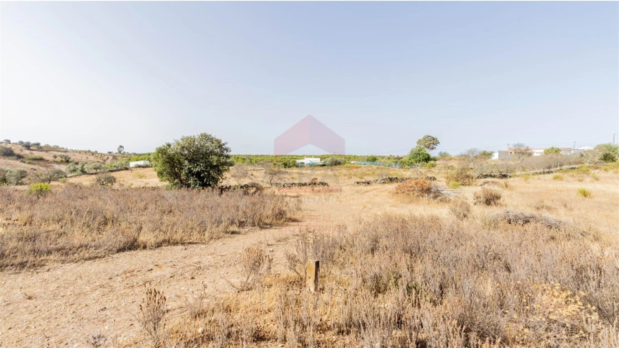 Terreno Agricola ou Rústico para Venda em Vaqueiros Foto 4