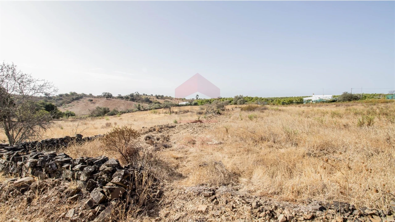 Terreno Agricola ou Rústico para Venda em Vaqueiros Foto 2