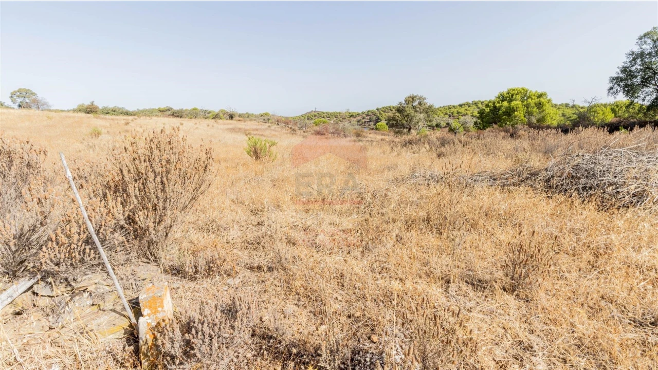 Terreno Agricola ou Rústico para Venda em Vaqueiros Foto 5