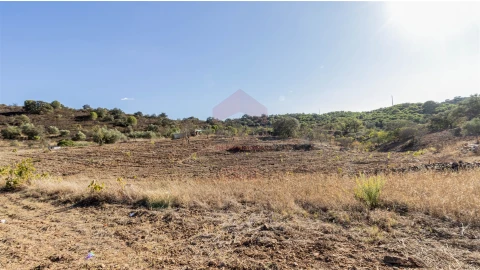 Terreno Agricola ou Rústico para Venda em Azinhal