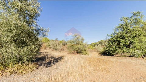 Terreno Agricola ou Rústico para Venda em Azinhal