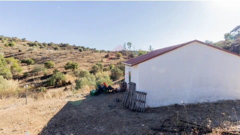 Terreno Agricola ou Rústico para Venda em Azinhal
