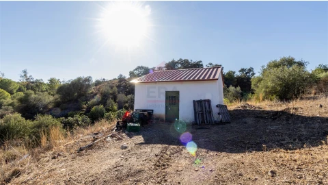 Terreno Agricola ou Rústico para Venda em Azinhal