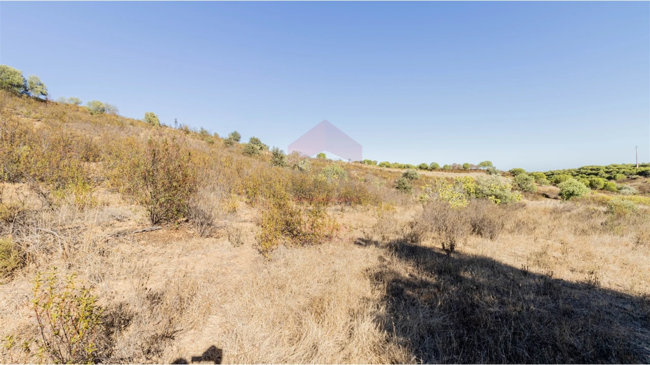 Terreno Agricola ou Rústico para Venda em Azinhal Foto 4