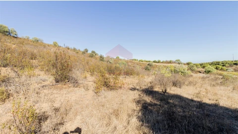 Terreno Agricola ou Rústico para Venda em Azinhal