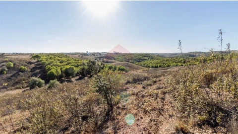 Terreno Agricola ou Rústico para Venda em Azinhal