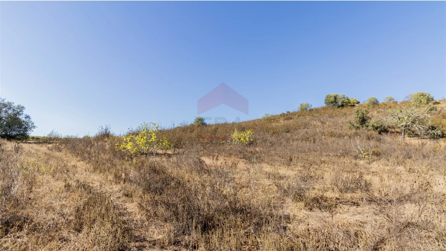 Terreno Agricola ou Rústico para Venda em Azinhal Foto 2