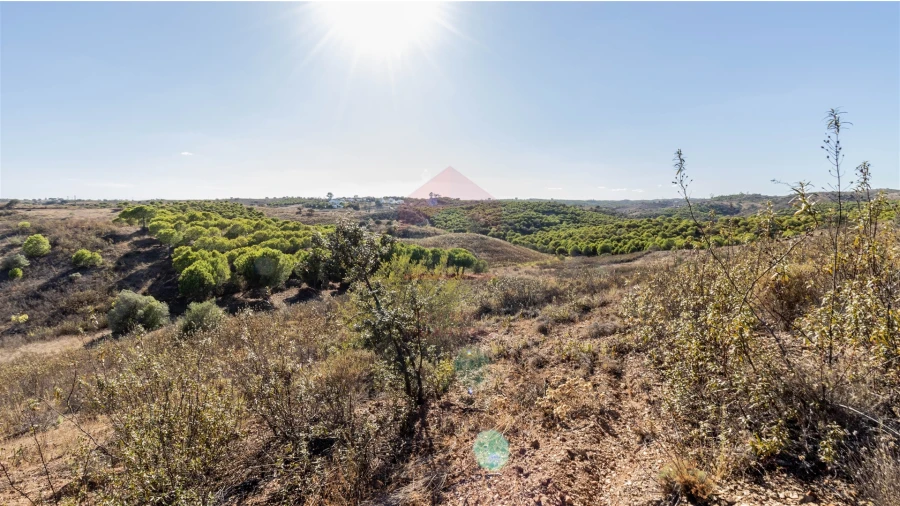 Terreno Agricola ou Rústico para Venda em Azinhal Foto 5