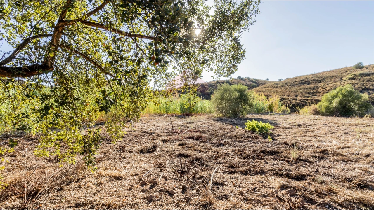 Terreno Agricola ou Rústico para Venda em Azinhal Foto 6