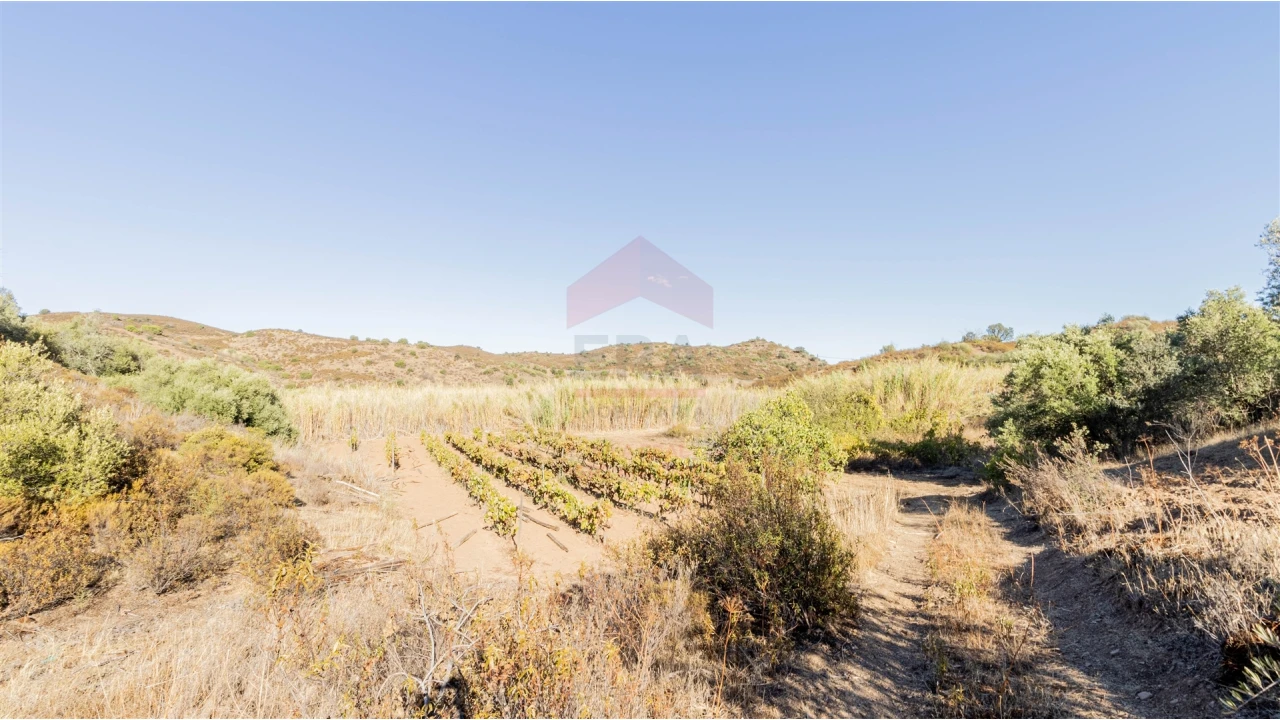 Terreno Agricola ou Rústico para Venda em Azinhal Foto 1